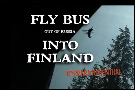 Fly Bus Into Finland