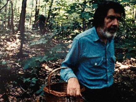 John Cage Mushroom In Stony Point - Jud Yalkut The Cooperative
