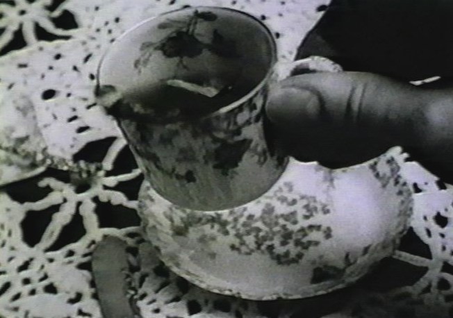 Cathy Cook