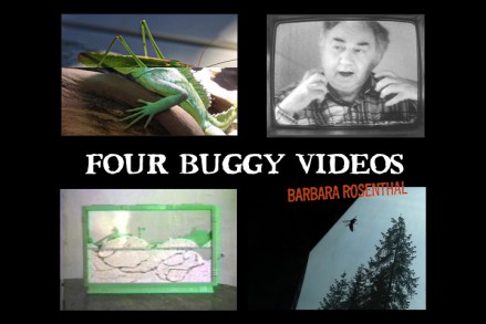Four Buggy Videos