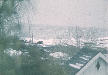 Wintergarden. Hudson River Diary Book: III