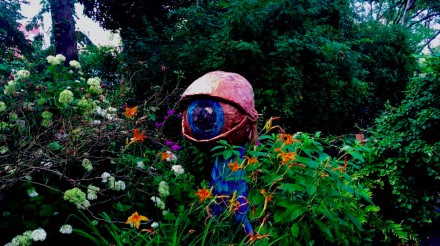 Eye in Garden