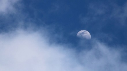 The Man Who Stopped and Stared at the Clouds