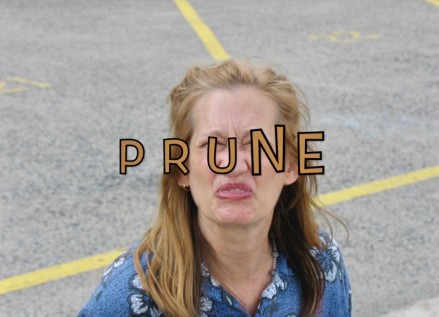 Prune-Nice