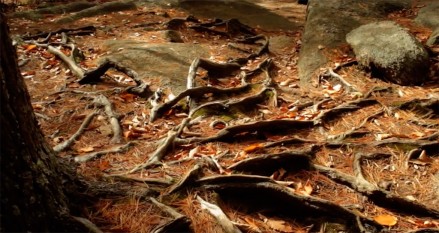 Purgatory Chasm