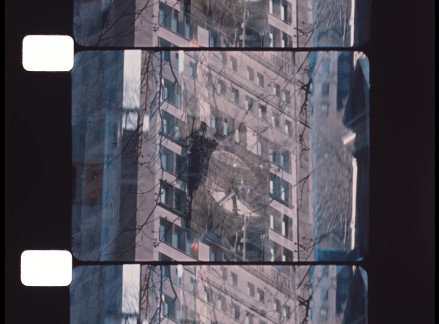 neighborhood